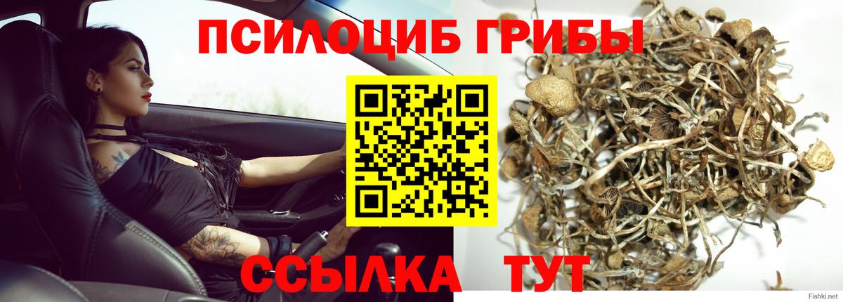 Галлюциногенные грибы Psilocybine cubensis Туймазы